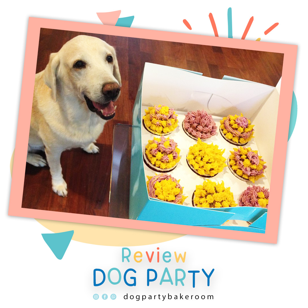 DOG PARTY – สอนทำเบเกอรี่สำหรับสุนัข ทางออนไลน์และในห้องเรียน (รามอินทรา39)